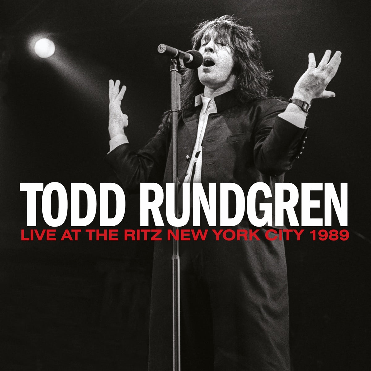 Todd Rundgren – Live at The Ritz, New York City 1989
