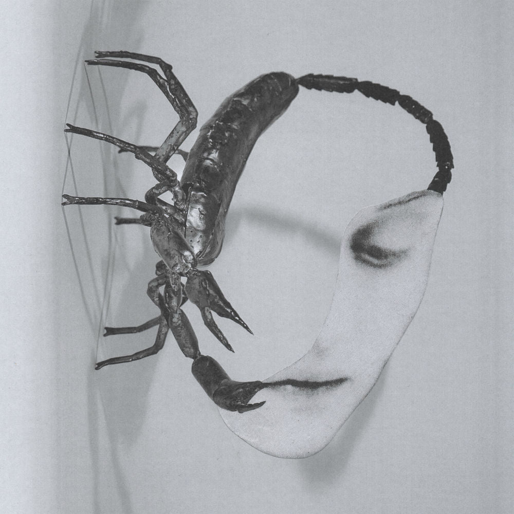 Tortoise – Touch