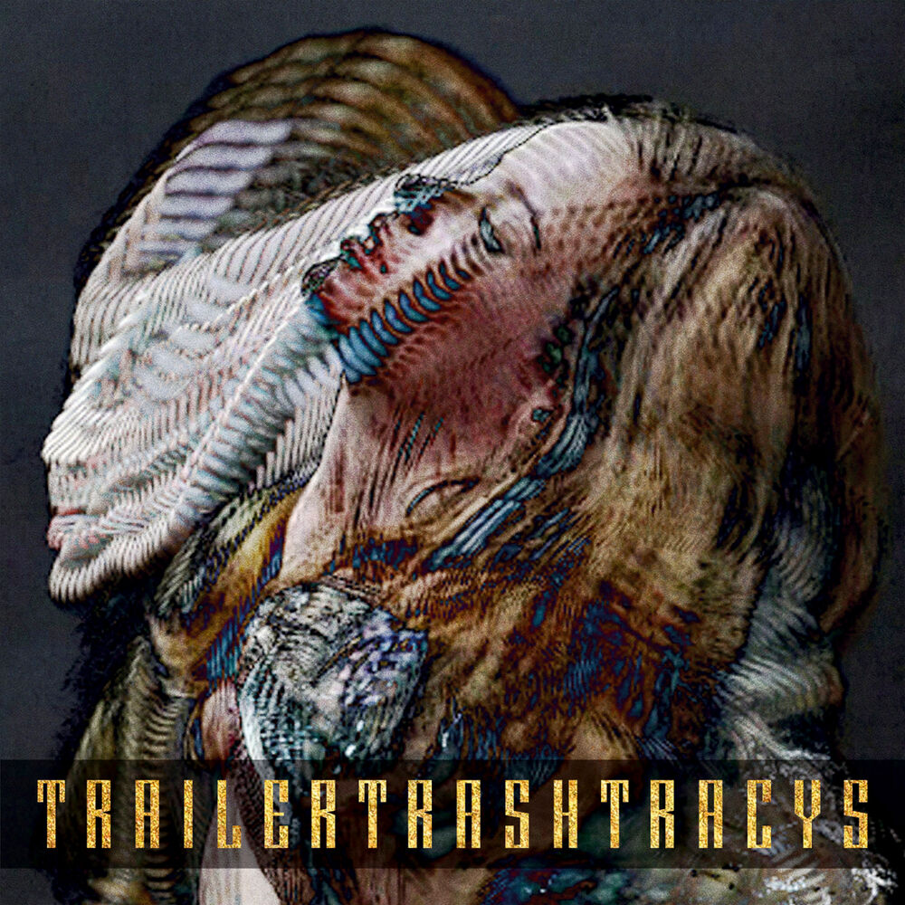 Trailer Trash Tracys – Ester