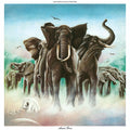 Elvis Costello & The Attractions – Armed Forces