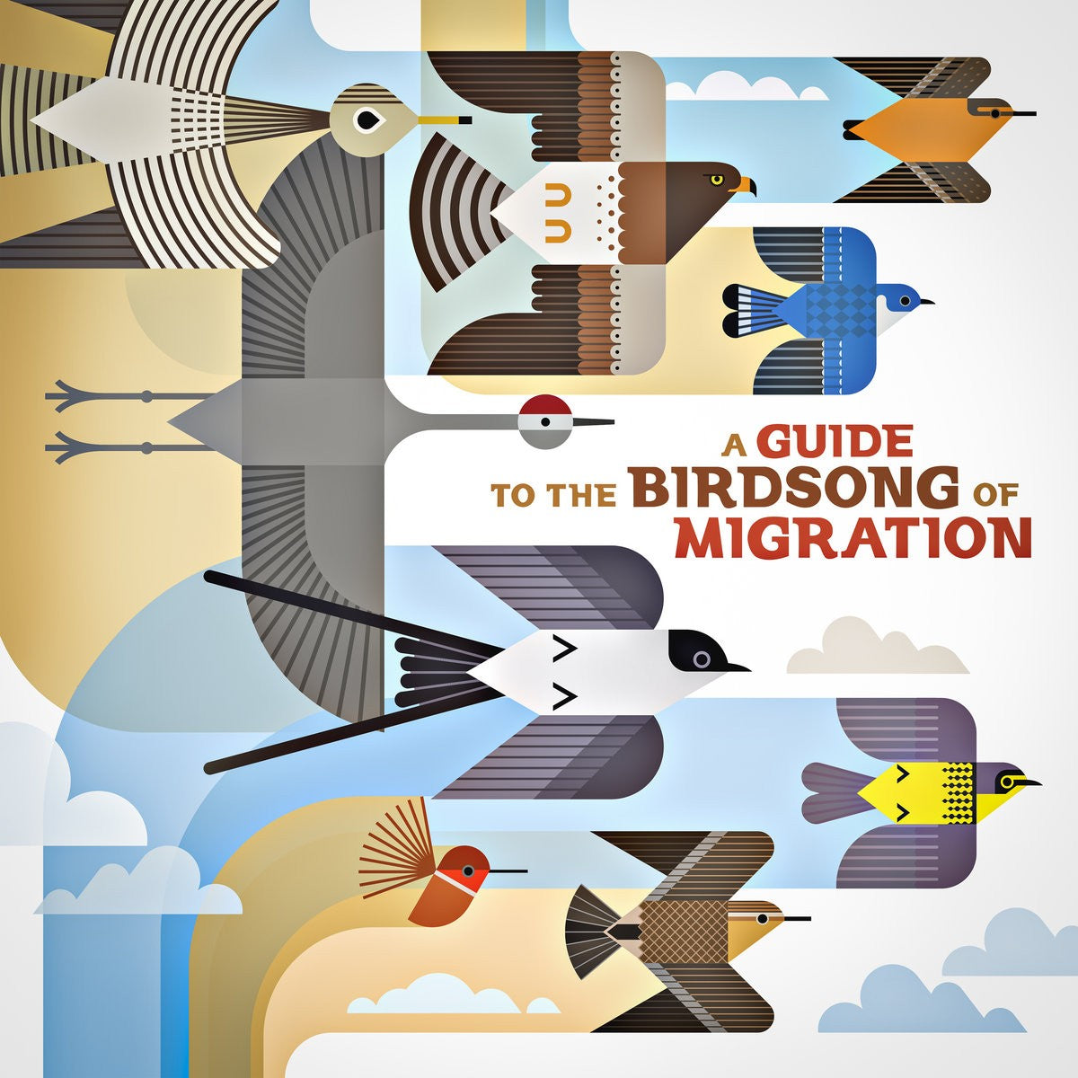 Various Artists – A Guide To The Birdsong Of Migration