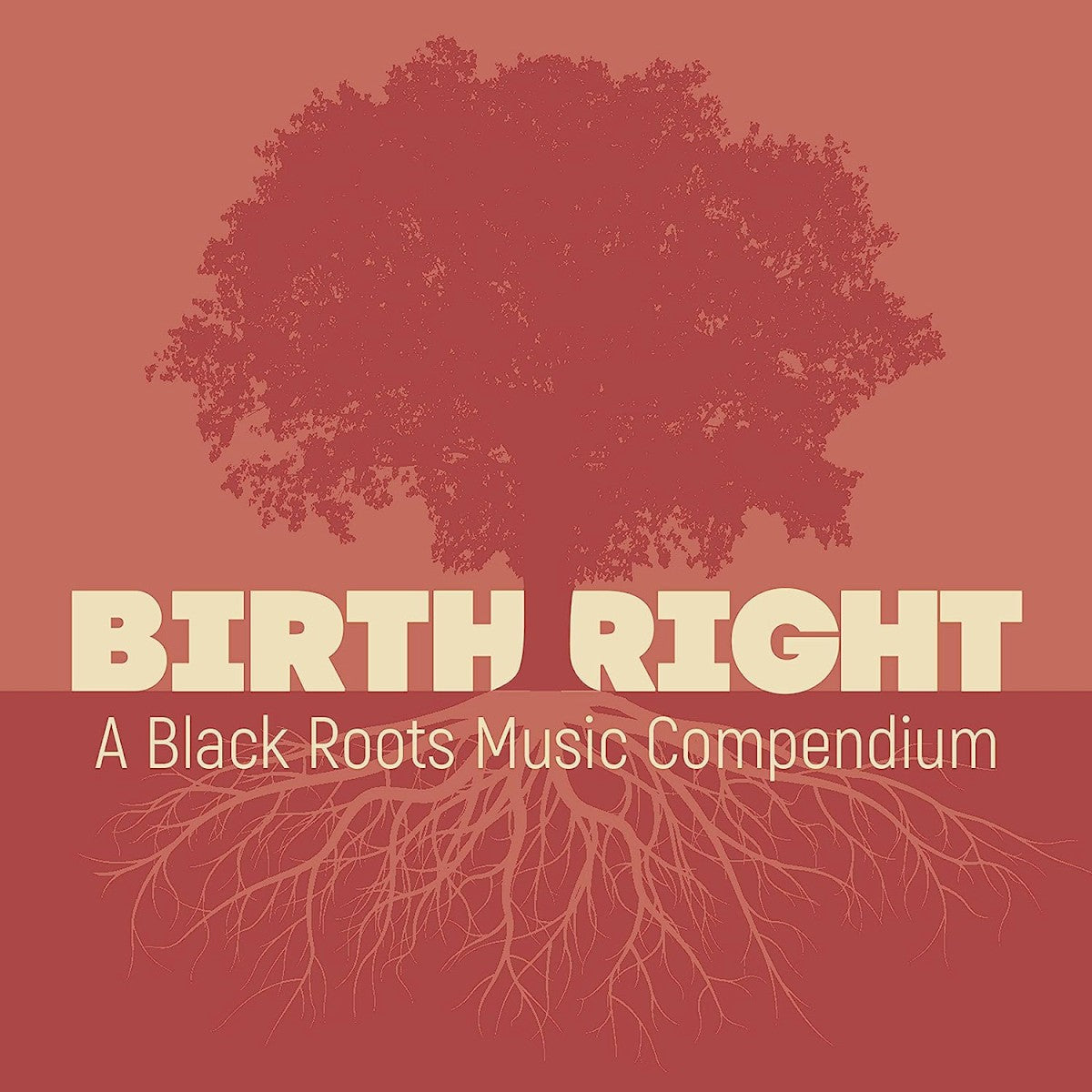 Various Artists – Birthright: A Black Roots Music Compendium