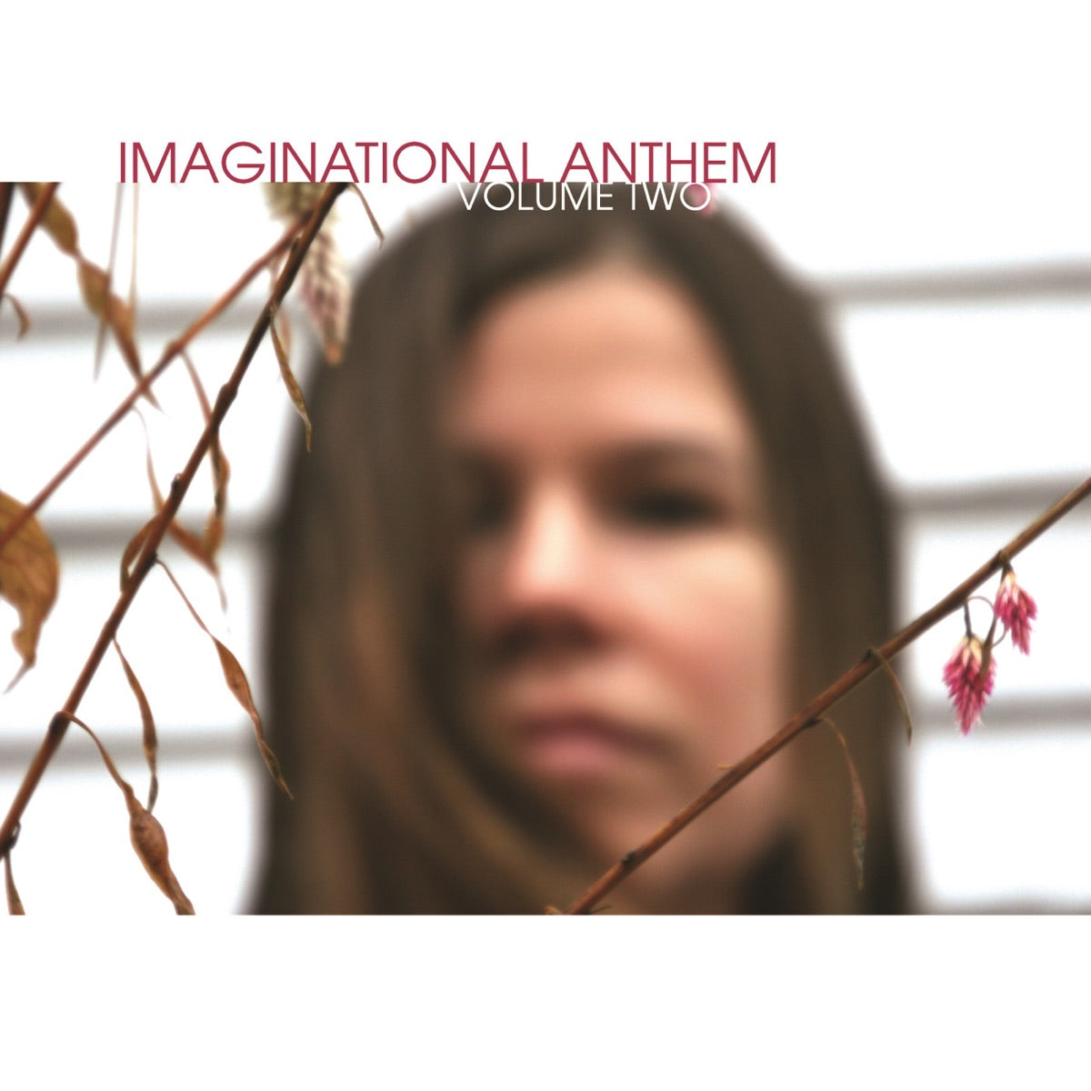 Various Artists – Imaginational Anthem Vol 2