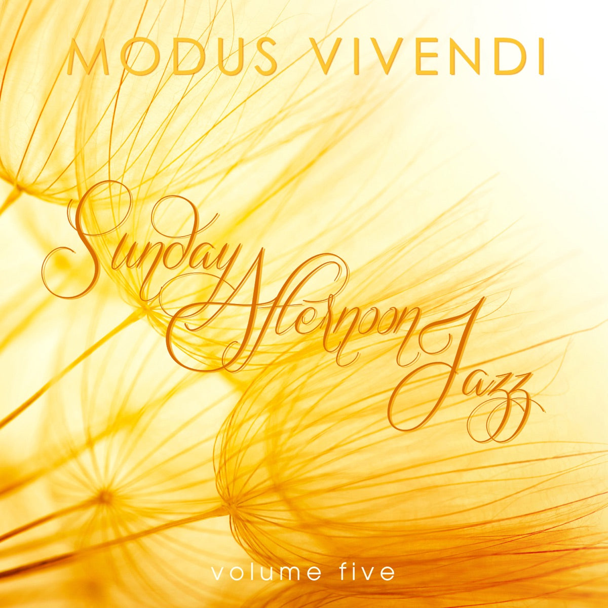 Various Artists – Modus Vivendi: Sunday Afternoon Jazz, Vol. 5