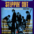 Various Artists – Steppin’ Out: The Roots of Garage Rock 1963–1965