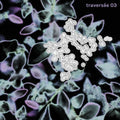 Various Artists – Traversée 03