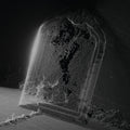 Visible Cloaks – Paradessence