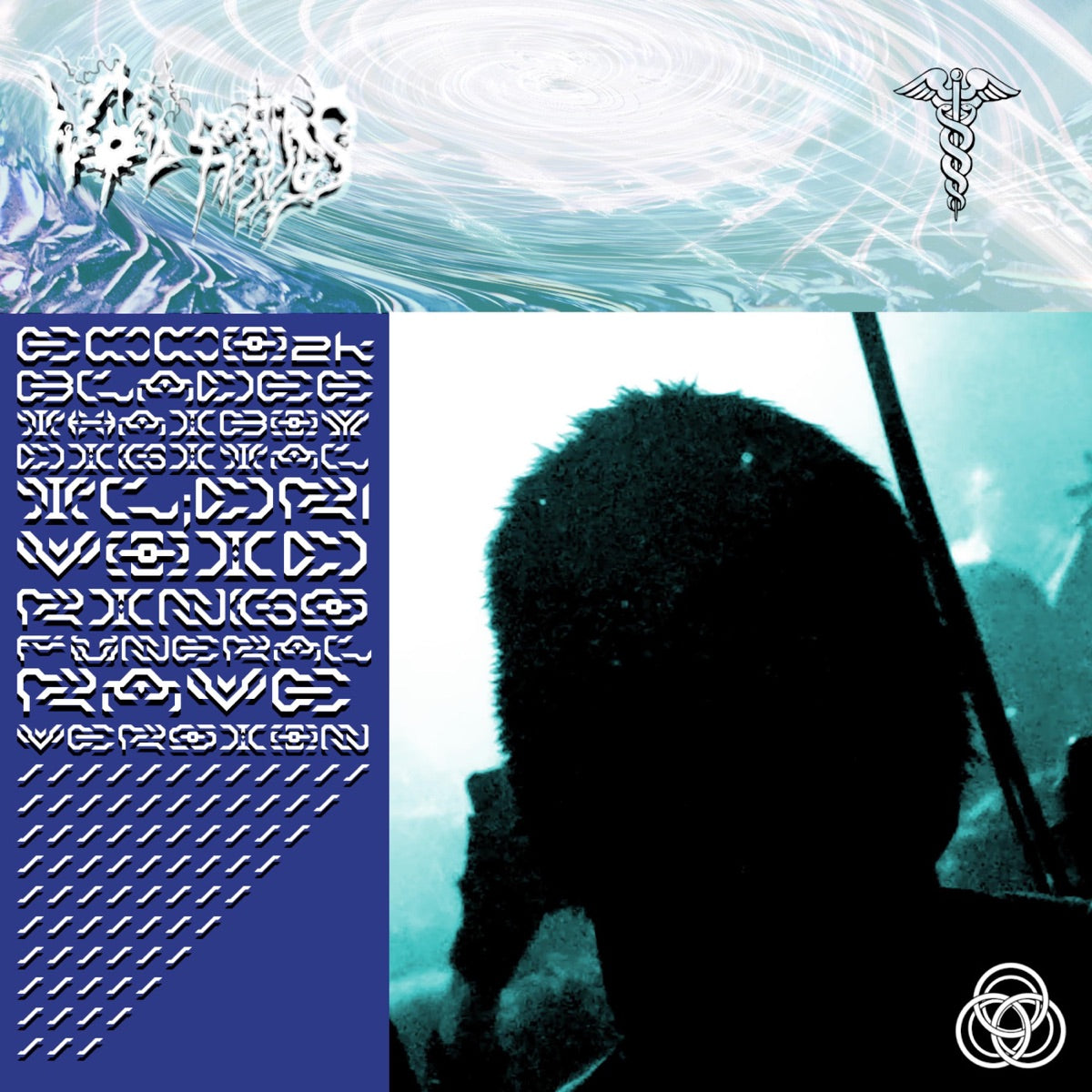 Void Rings – bladee, Ecco2k, Thaiboy Digital - TLDR (Void Rings Funeral Rave Version) - Single