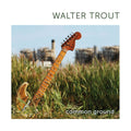 Walter Trout – Common Ground