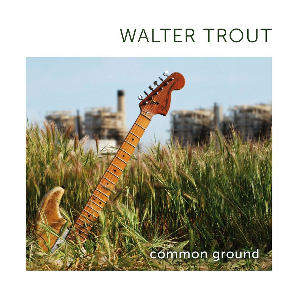 Walter Trout – Common Ground