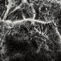 Offernat – Where Nothing Grows