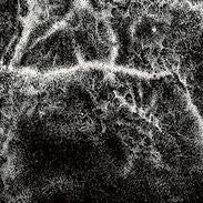 Offernat – Where Nothing Grows
