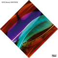 Wild Beasts – Smother