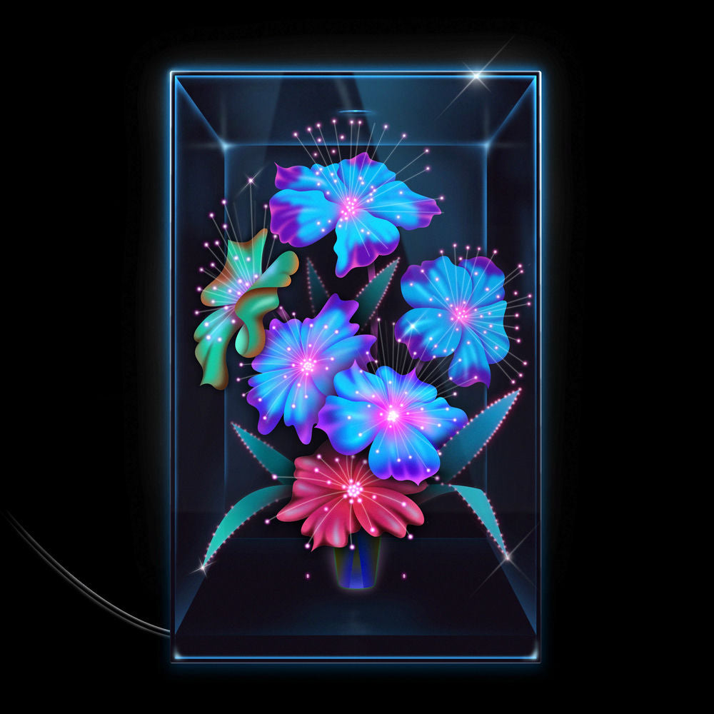 Xenia Rubinos – Una Rosa