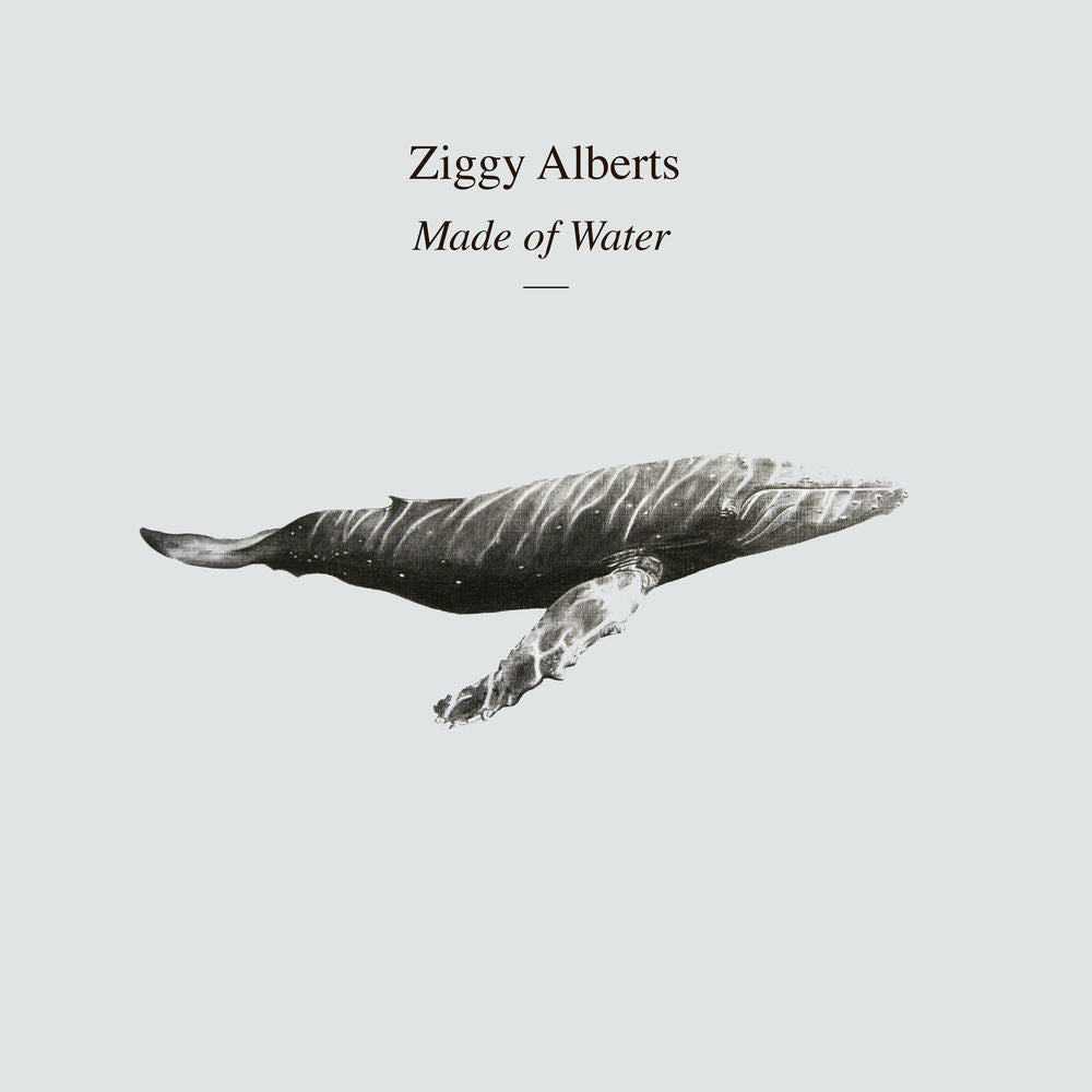 Ziggy Alberts – Made of Water