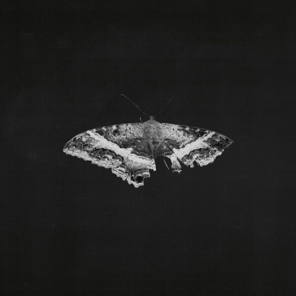 Kendrick Lamar - To pimp a butterfly artwork for album